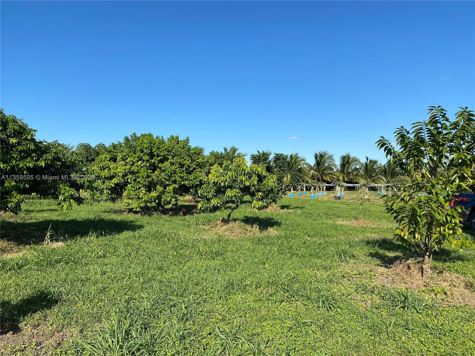 Photo 2 of 38 of 14750 SW 205 Ave land