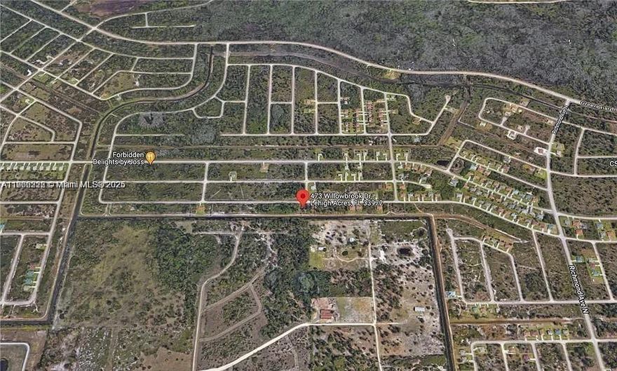 Build Your Dream Home in the Heart of Lehigh Acres! Located at 473 Willowbrook Dr, this lot offers a peaceful and convenient setting, surrounded by nature and close to essential amenities. Enjoy the beautiful lake view. With 12,004 square feet, this property is perfect for building the home you've always wanted, with room for a garden, pool, or even a garage. Purchasing land in this area is not just a great option for building your home but also a long-term investment in a growing market.