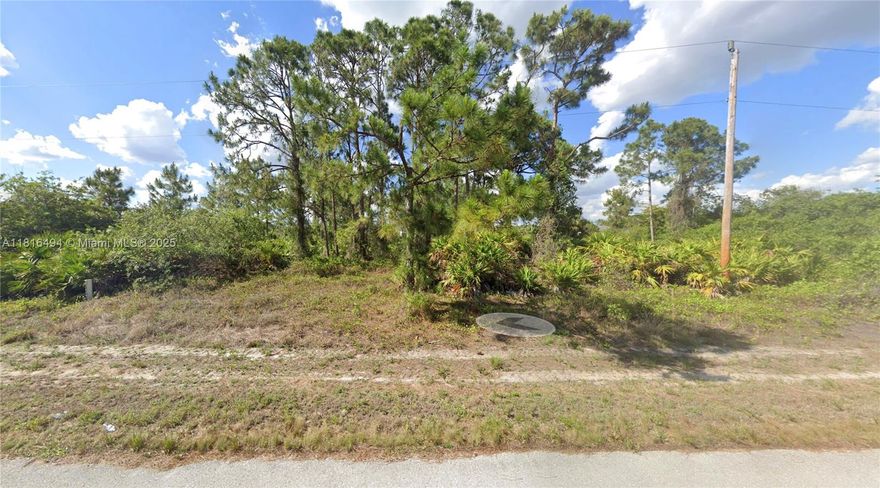 Easy to clear, pine tress mostly. Paved road. Power lines on site. Big houses on the block. Great price for this quarter acre lot. Seller financing available. Not a flood zone.