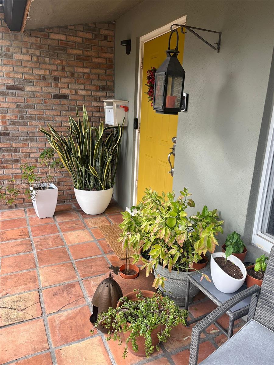 HOLLYWOOD HILLS - Residential