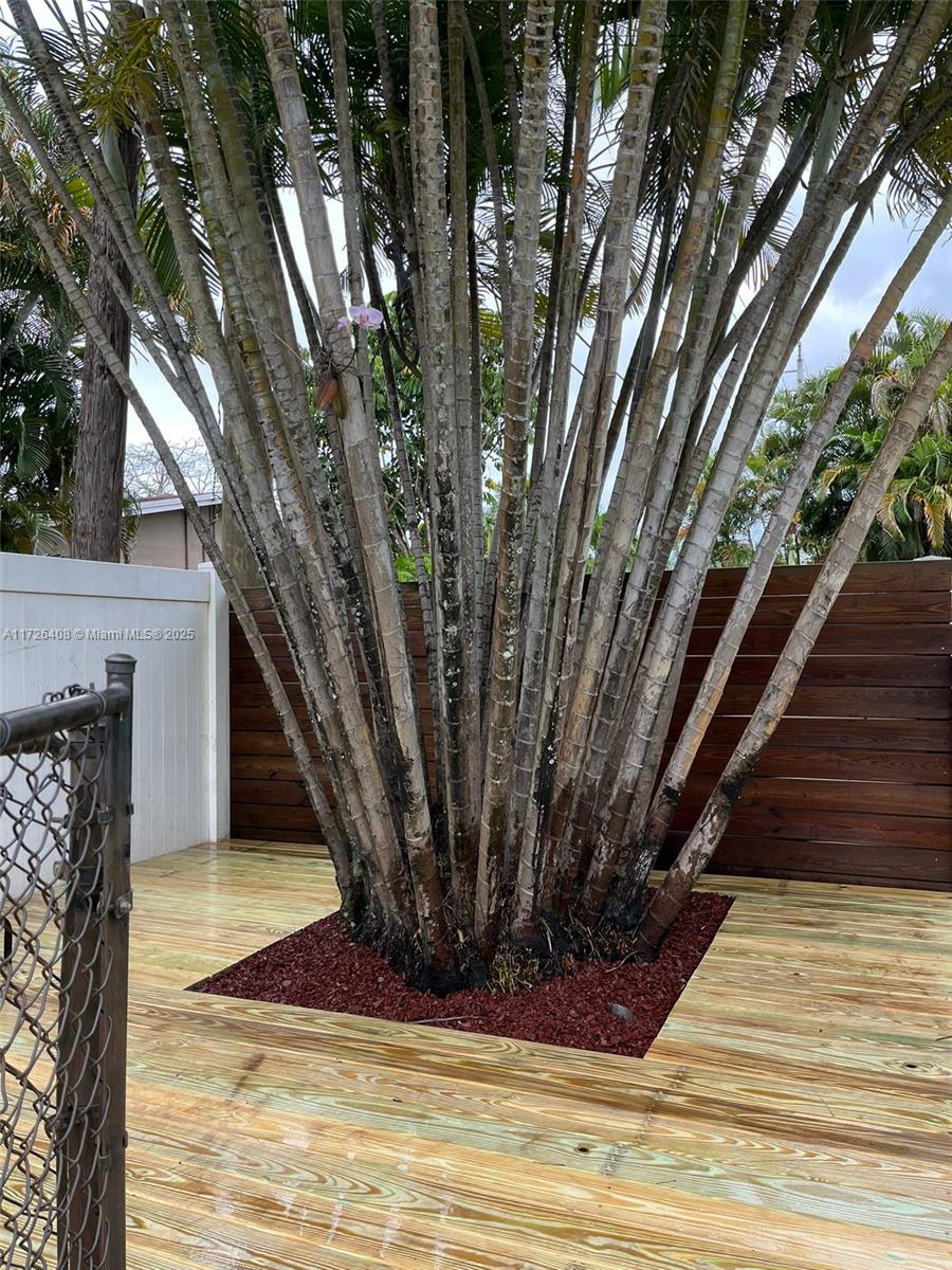 HOLLYWOOD HILLS - Residential