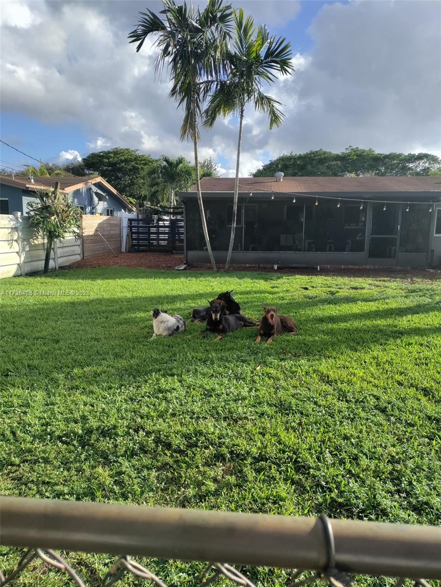 HOLLYWOOD HILLS - Residential