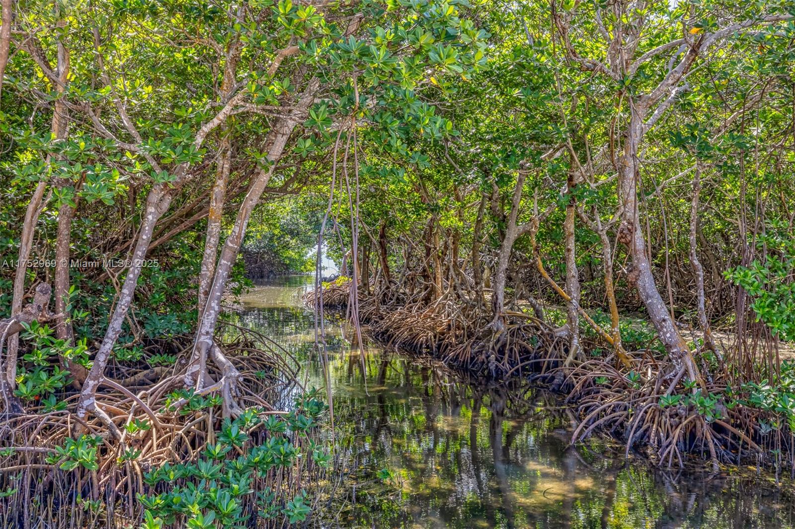 LARGO BEACH - Residential
