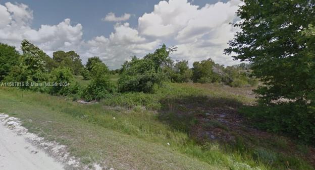 FABULOUS 1.14-ACRE LOT LOCATED IN A LIGHTLY DEVELOPED NEIGHBOORHOOD OF AVON PARK. JUST OFF PAVED ROAD; NO HOA FEES AND ELECTRICITY AVAILABLE ON ROAD. DON'T MISS THE OPPORTUNITY TO OWN THIS PROPERTY! EU ZONING WHICH ALLOWS FOR ONE-FAMILY DWELLING; SINGLE FAMILY DWELLING OR A MODULAR HOME, NOT INCLUDING A MOBILE HOME. LOCATED OFF OF AVON PARK ESTATES BLVD AND WITHIN MINUTES OF SHOPPING, RESTAURANTS AND US HWY 27.
OWNER / AGENT