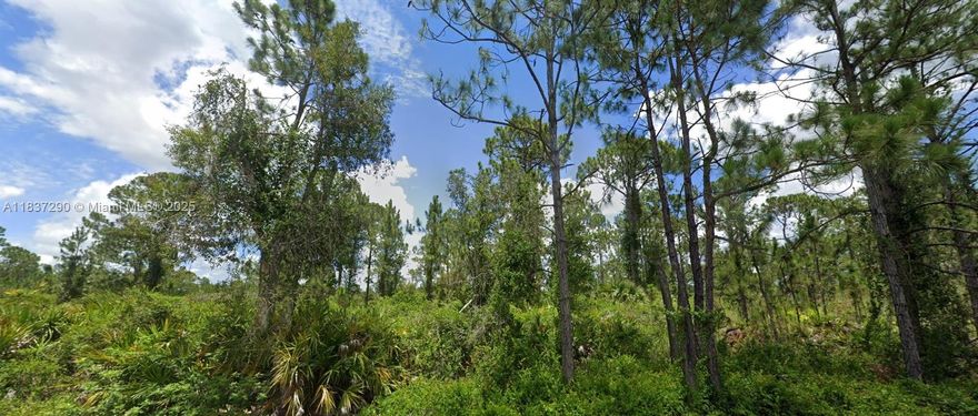 Build Your Dream Home in Lehigh Acres! This spacious vacant quarter acre lot is ready for you to build your custom single-family home in the growing community of Lehigh Acres! Enjoy peaceful surroundings, affordable living, and easy access to Fort Myers while being close to shopping, dining, parks, and top-rated schools. With plenty of new development in the area, this is the perfect opportunity to invest in Florida living! SELLER FINANCING AVAILABLE!!

The buyer’s agent or broker is required to be present at all showings, meetings, inspections, and appointments. Unaccompanied buyers will not be permitted access to the property.