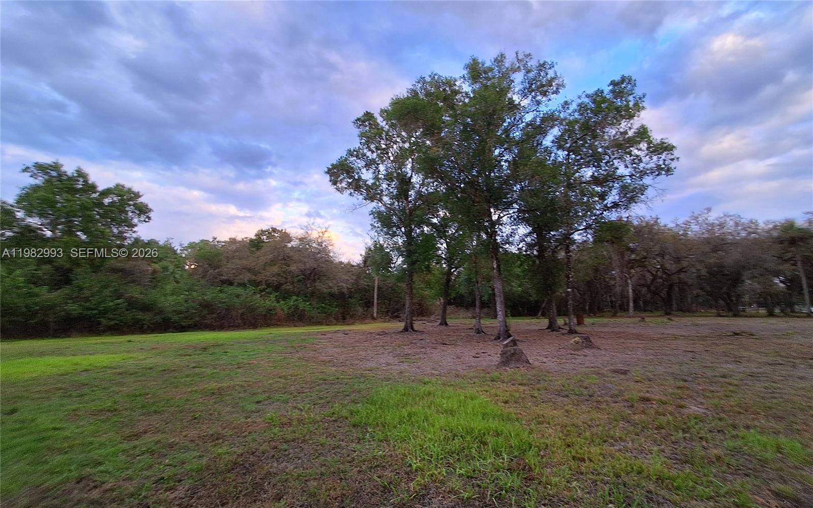 GOLDEN GATE EST - Residential