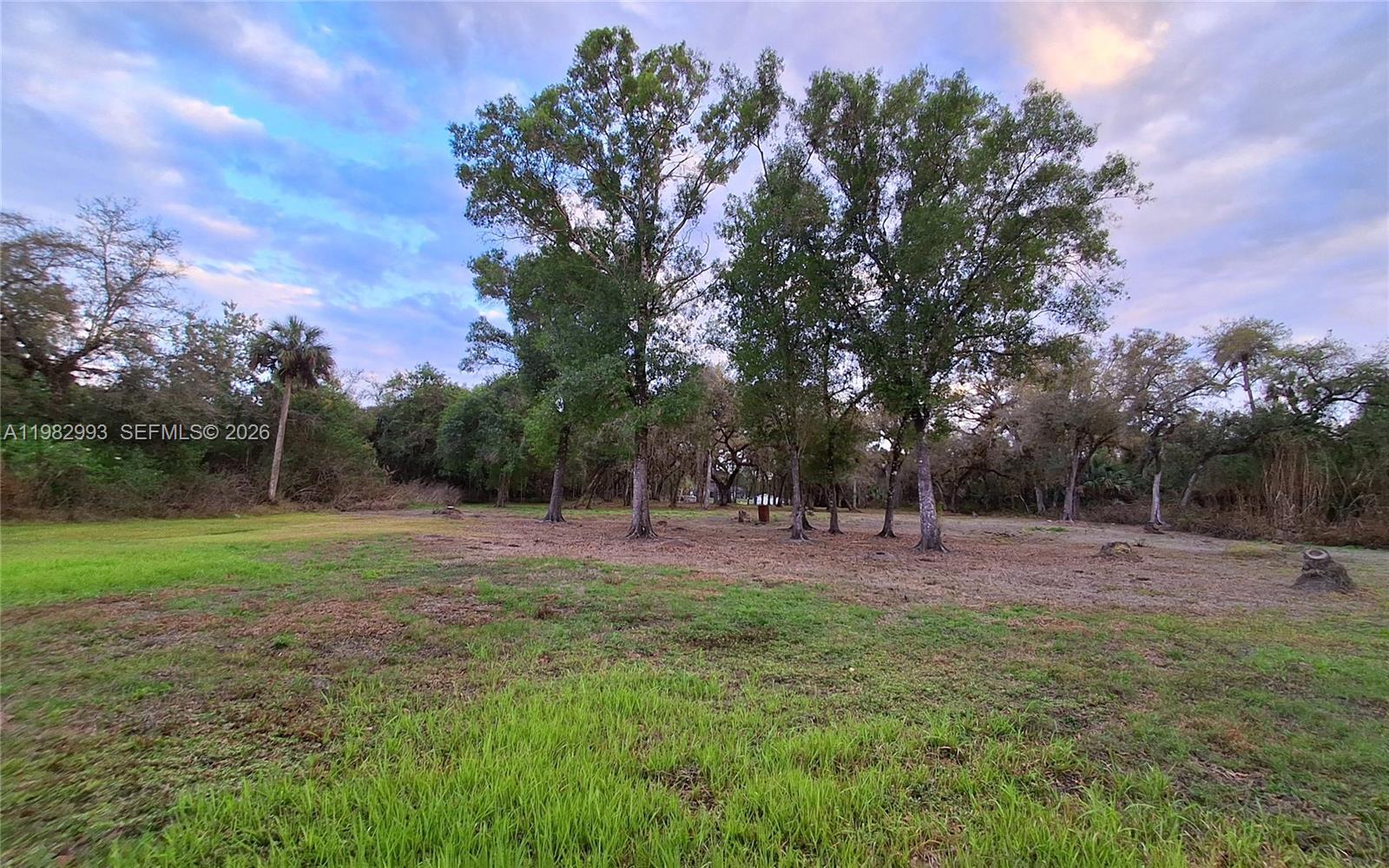 GOLDEN GATE EST - Residential