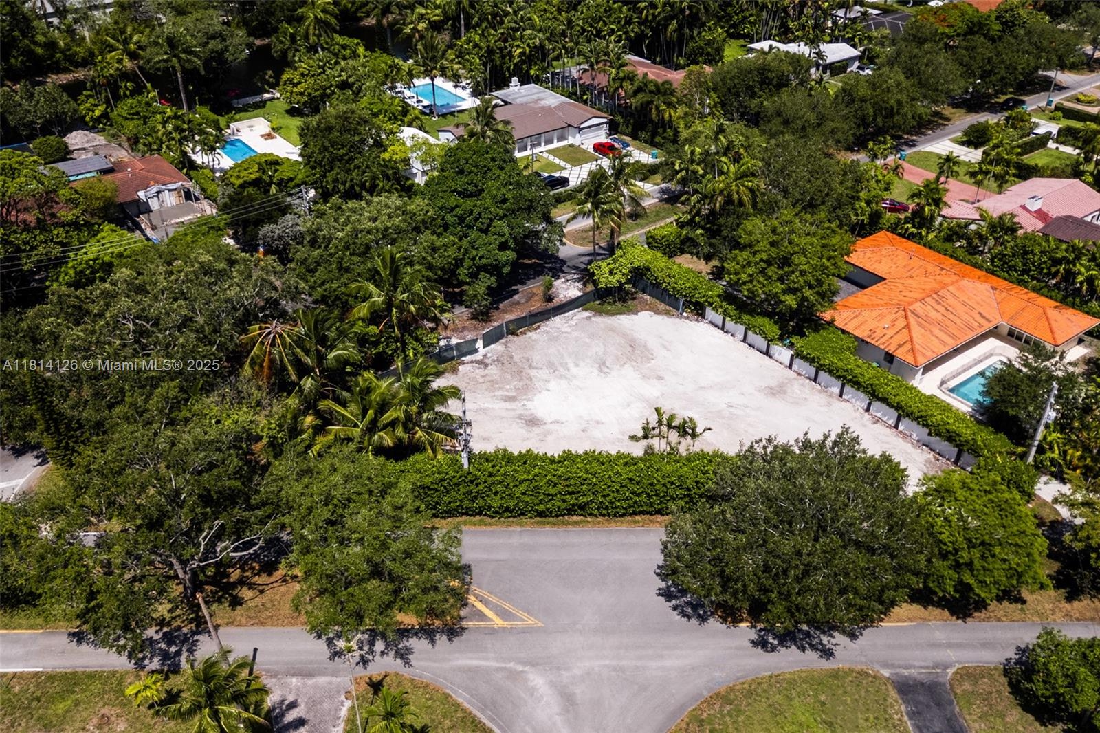 AMD PL GRIFFING BISCAYNE - Land