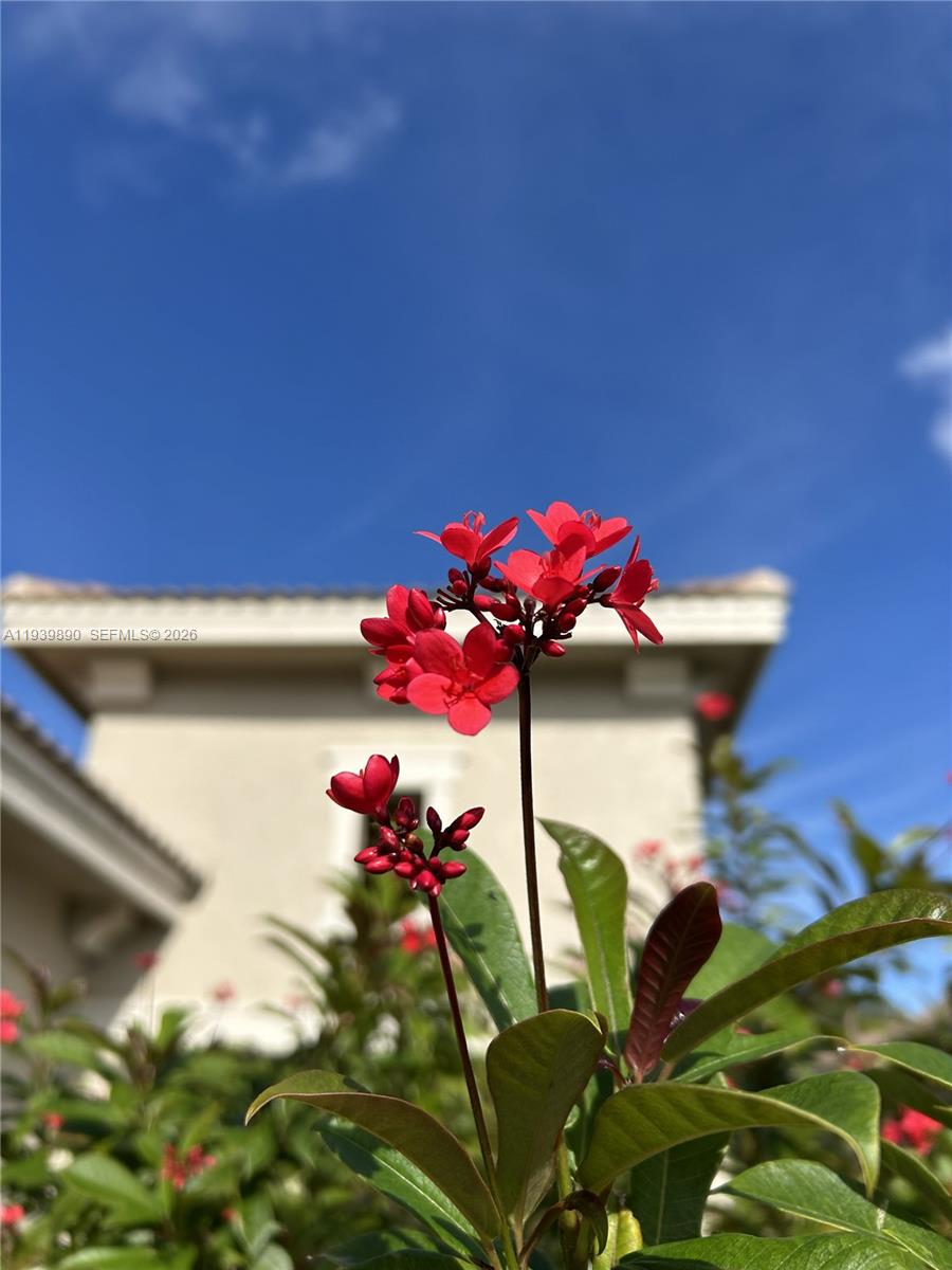 VERANO PUD NO. 1 PLAT NO. - Residential