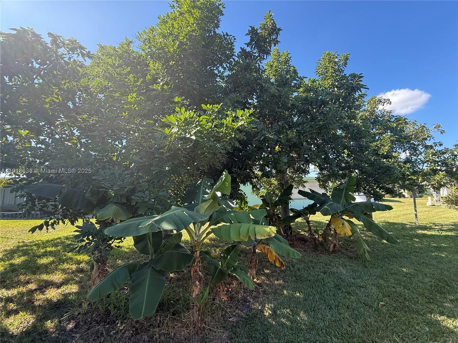 MAINLANDS OF TAMARAC LAKE - Residential