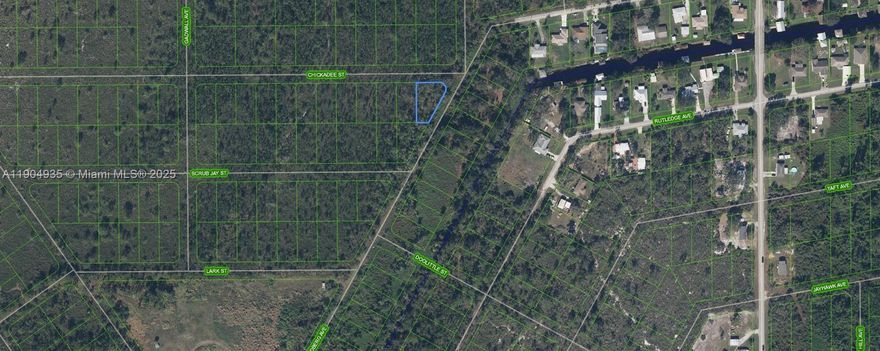 OWNER WILL FINANCE!!! 1K DOWN 243.93 A MONTH FOR 36 MONTHS AT 7% INTREST. Lake Placid Florida, 96 Wide and 160 feet Deep = .35 of an Acre, In Highlands Park Estates. Walking distance to Lake Istokpoga, where the Big Bass Bite! Highlands County has 100 Lakes and Affordable Golf, Highlands Hammock State Park, Many Bird Watching Parks where you will see the Scrub Jays! Nature Abounds all around, Kayaking, Bike Trails, Fishing! Get back to the Real Life in Lake Placid Florida!