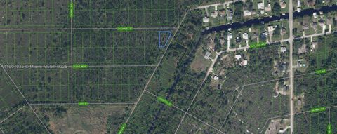 1453 Chickadee Street Lake Placid FL 33852