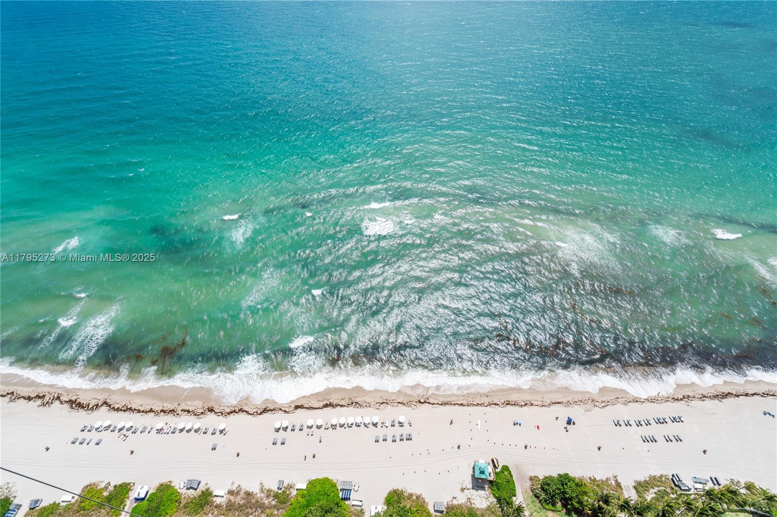 15811 Collins Ave 3901