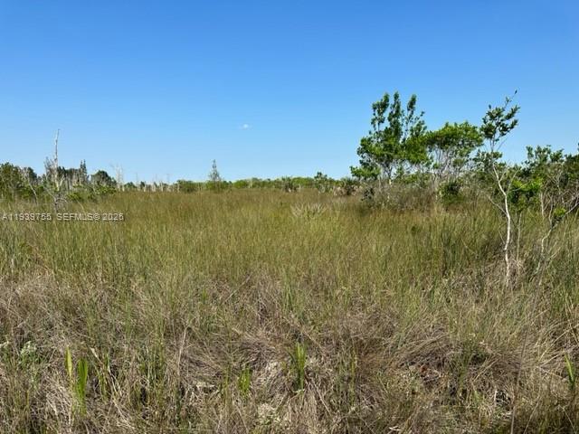 MIAMI LAND & DEVELOPMENT - Land