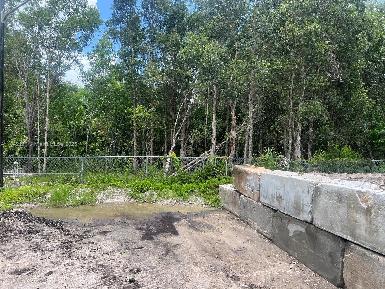FLORIDA FRUIT LAND COMPAN - Land