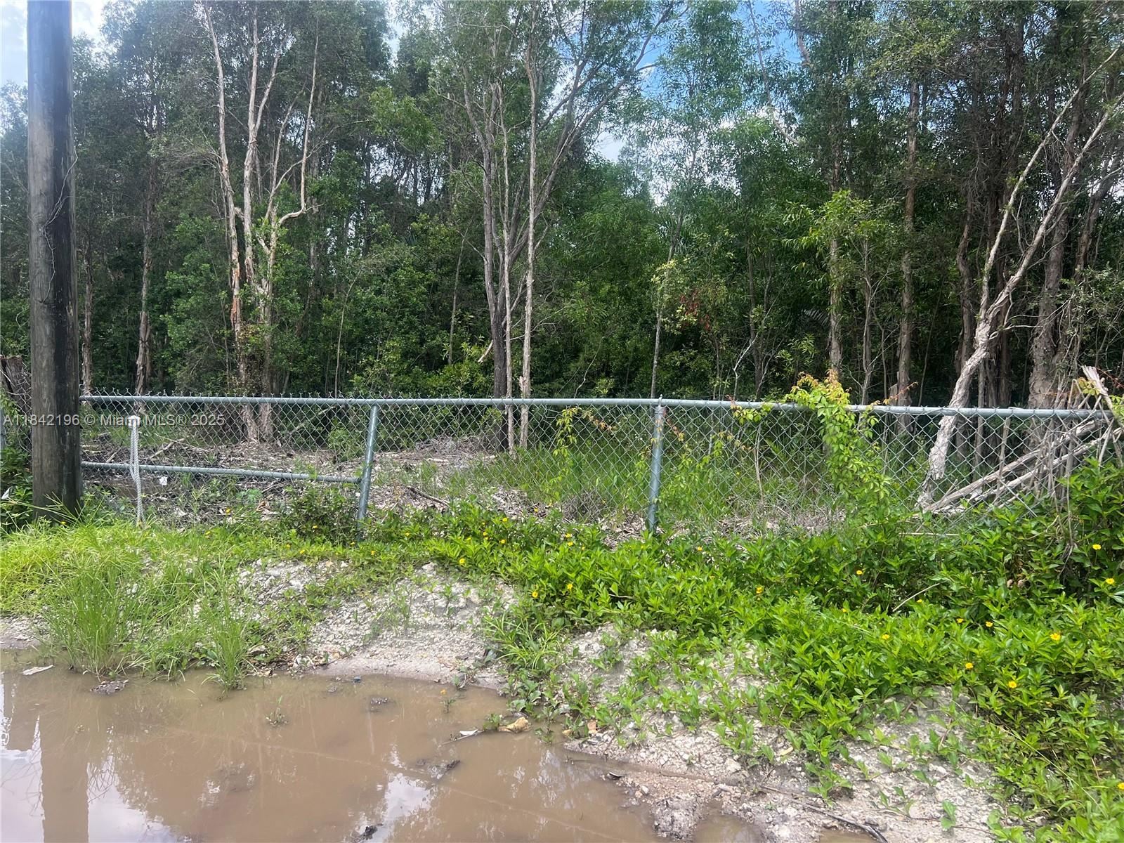 FLORIDA FRUIT LAND COMPAN - Land