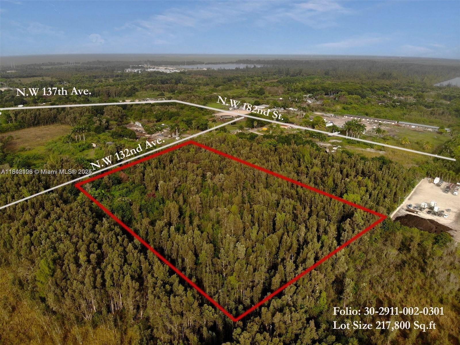 FLORIDA FRUIT LAND COMPAN - Land