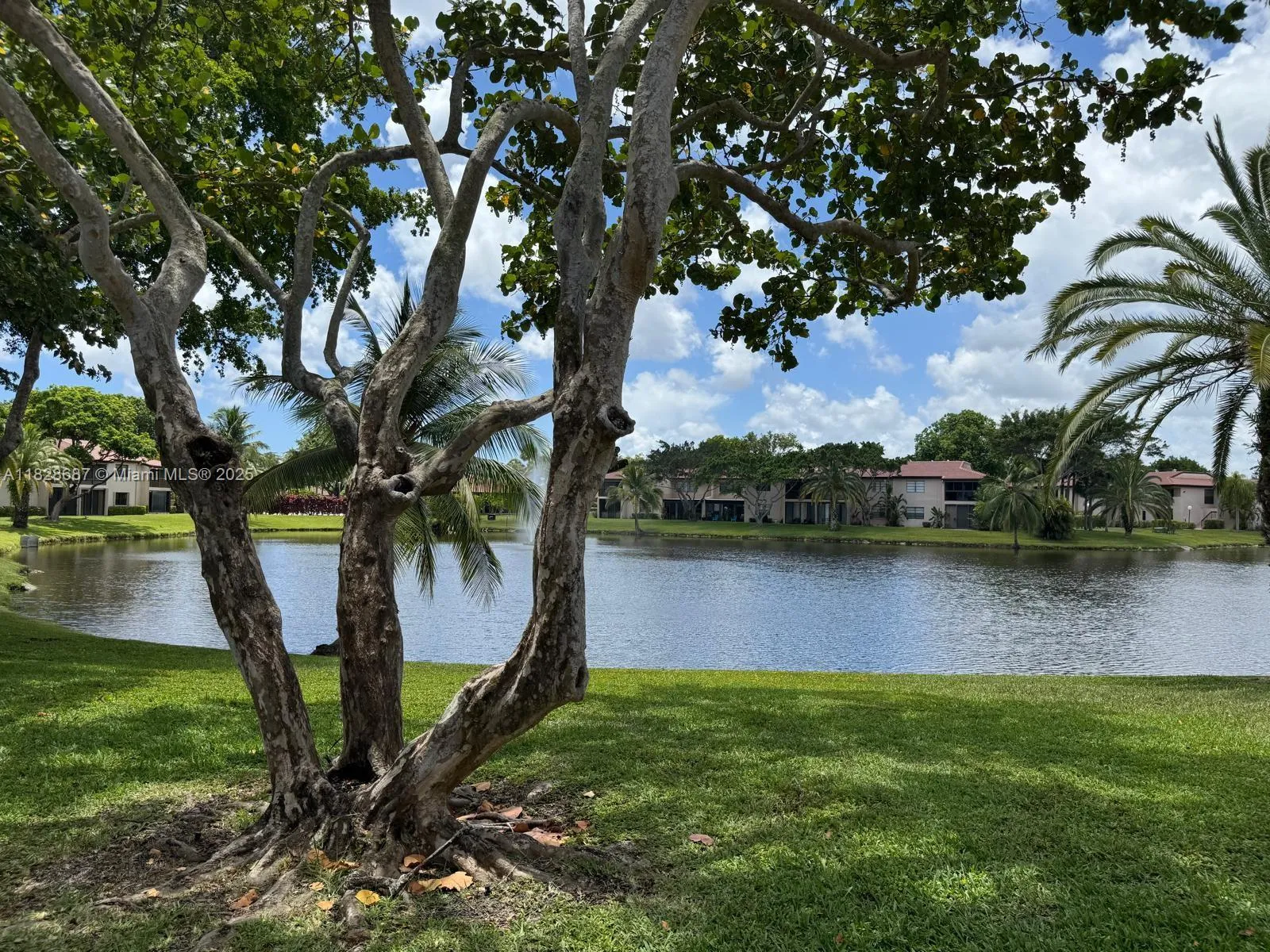Boca Raton, Florida 33428, United States, 2 Bedrooms Bedrooms, ,2 BathroomsBathrooms,Residential,Active,158800