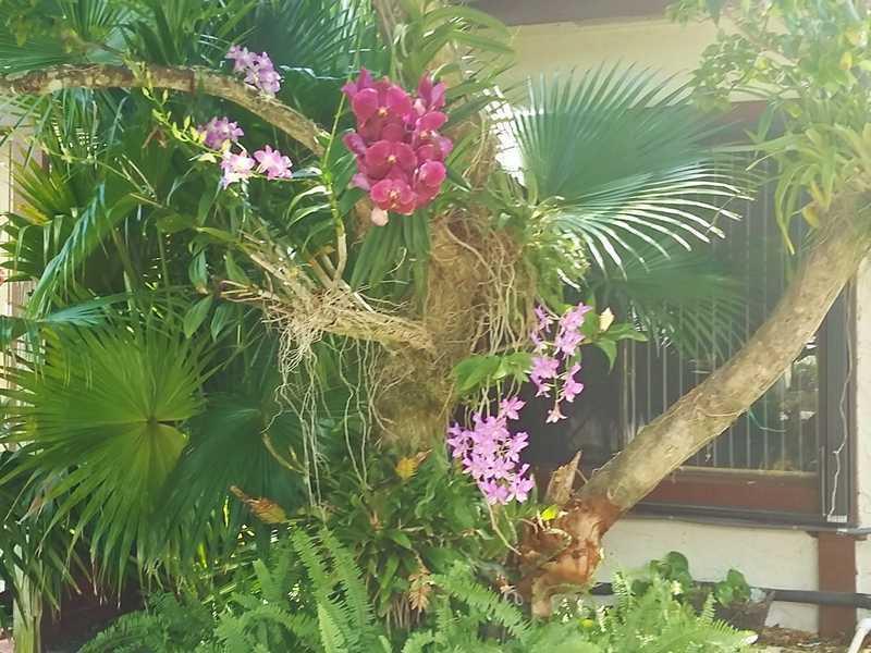 OMEGA VILLAS 4 CONDO - Residential Lease