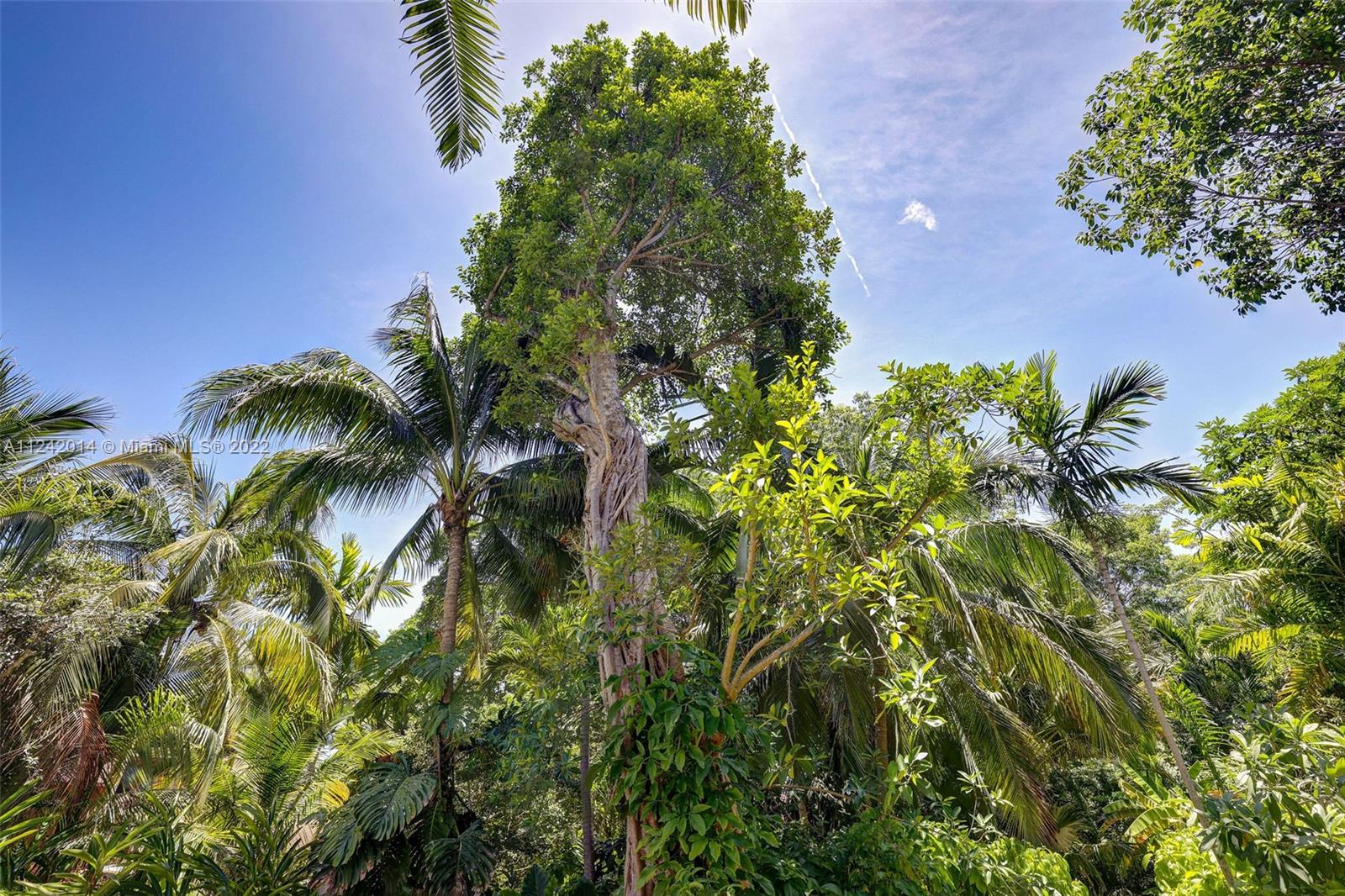 HAMMOCK PK 1ST ADDN - Residential