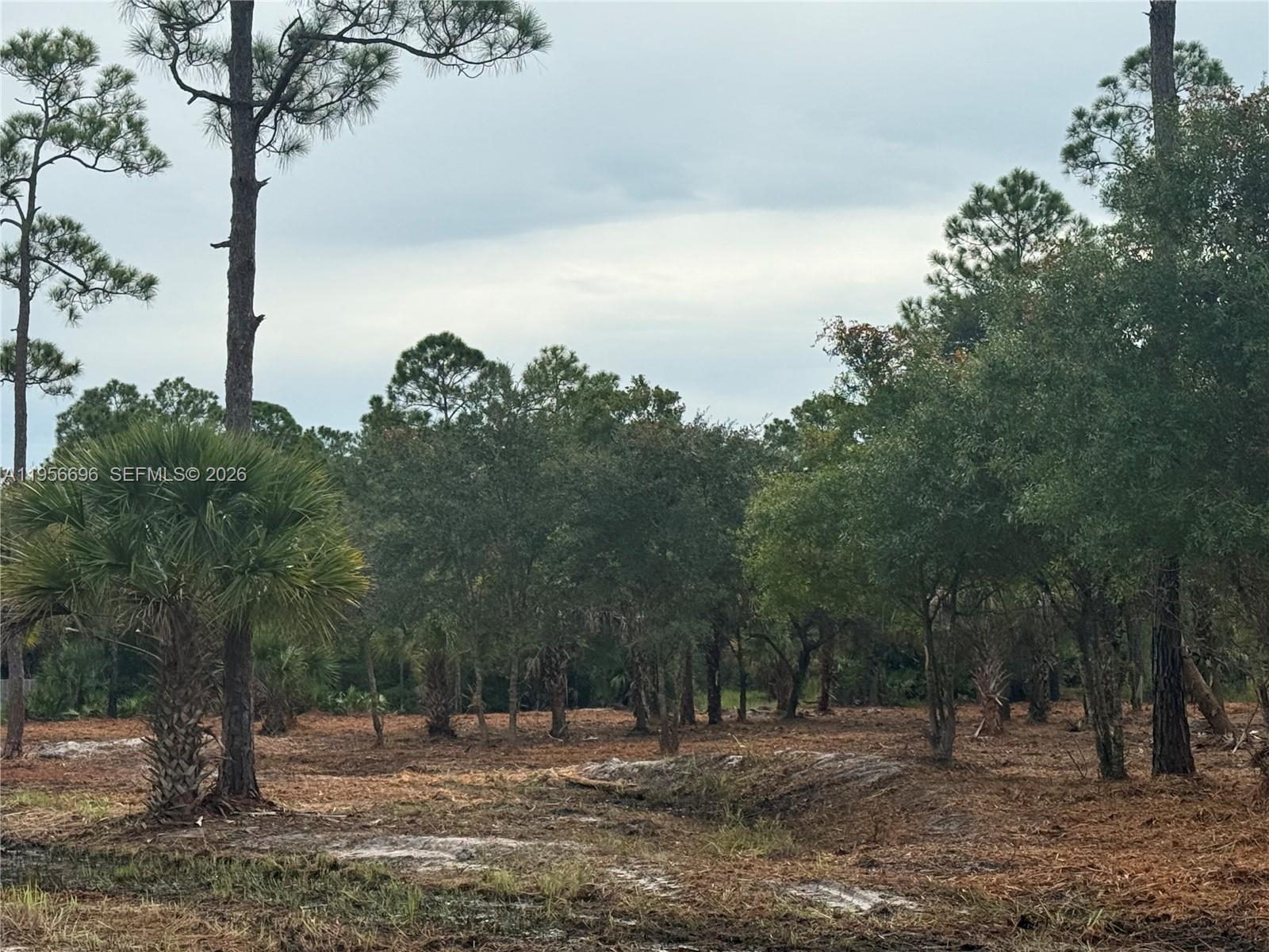 MONTURA RANCH ESTATES - Land