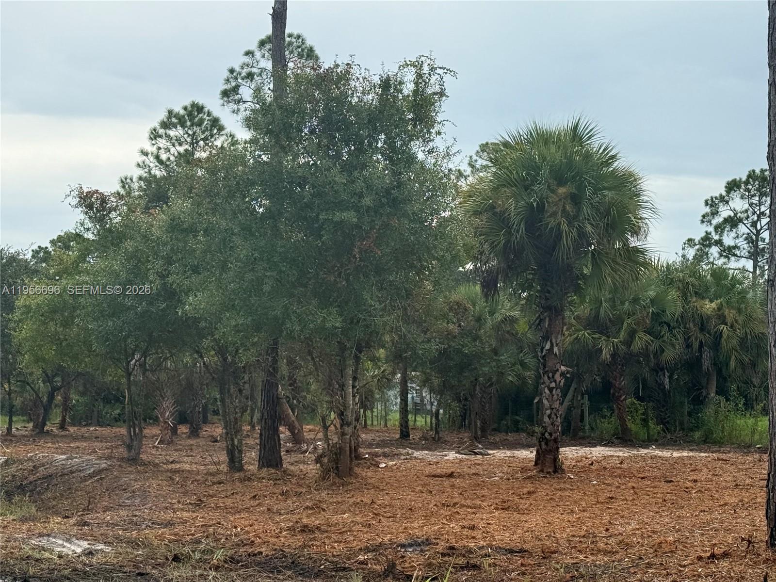 MONTURA RANCH ESTATES - Land