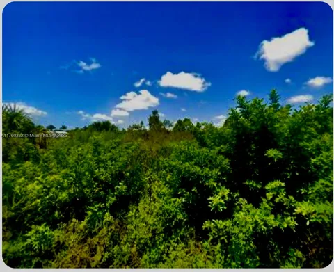 MLS: A11760332