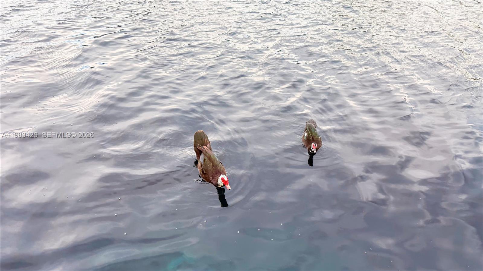 MIAMI LAKES-LAKE KATHARIN - Residential