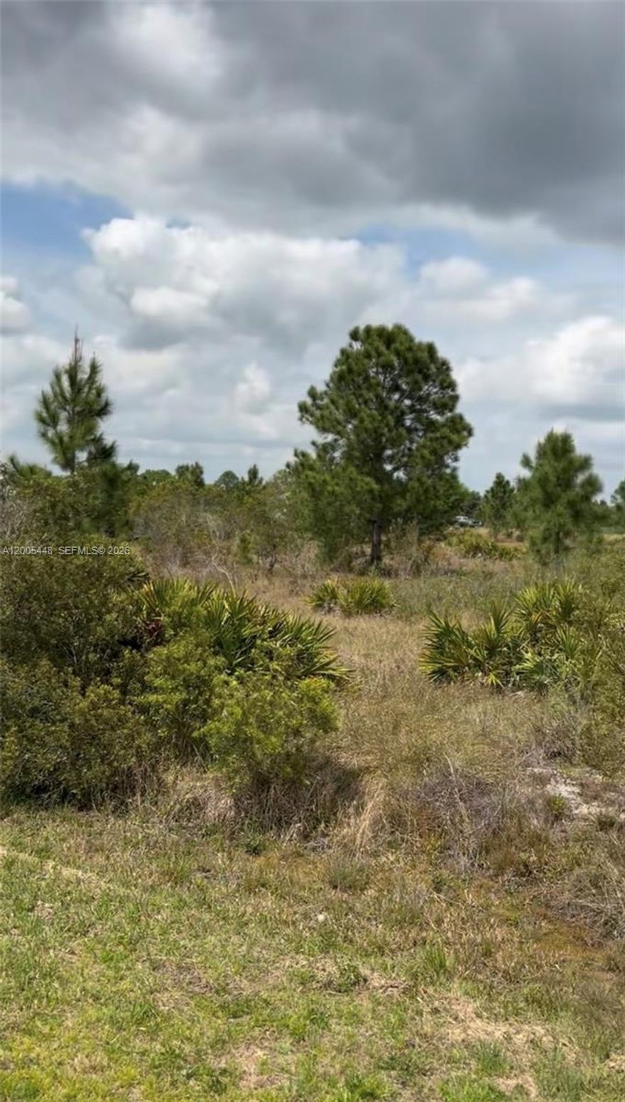 Great opportunity to own a 1.14-acre residential lot in Avon Park Estates. Located in a quiet, rural setting, this property offers space and privacy while still being within a short drive to major roads, shopping, and local amenities.

Zoned EU (Estate Residential), allowing for flexible residential use. Electric is available nearby and water is available in the area (buyer to verify). Septic will be required.

Ideal for building a single-family home, placing a mobile home, or holding as an investment. No HOA.
