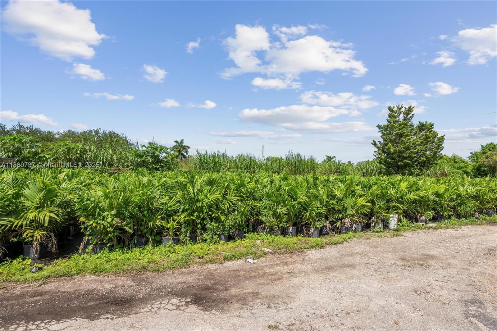 Bonanza Ranchos - Residential