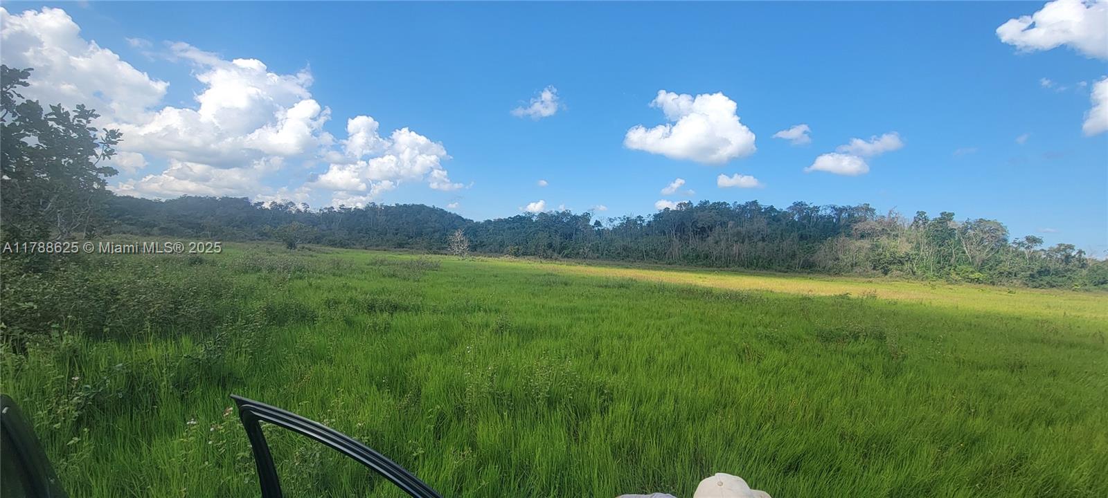 La Libertad
