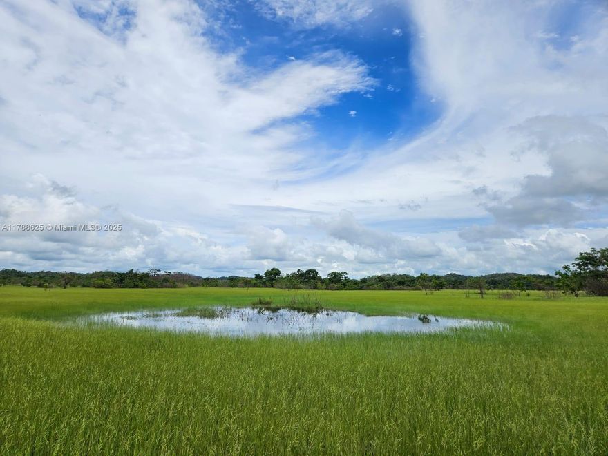 Property is situated on land that has petroleum, natural gas and many other minerals.