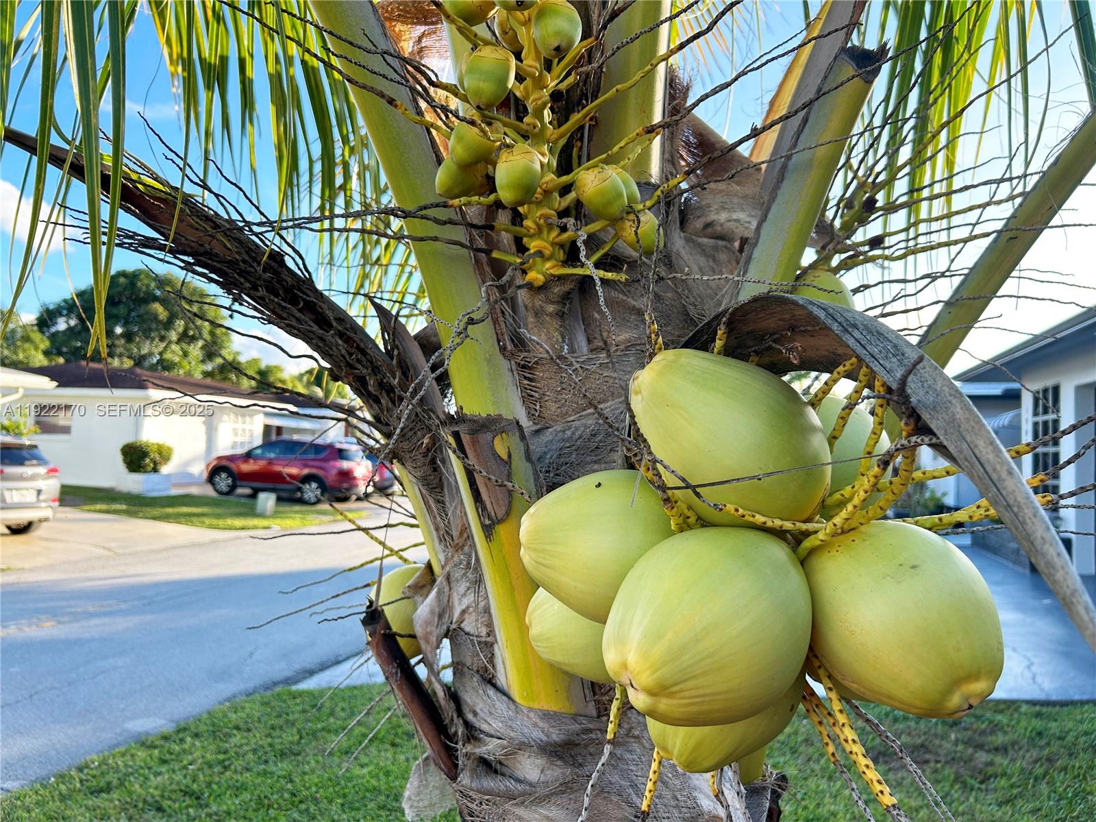 MAINLANDS OF TAMARAC LAKE - Residential