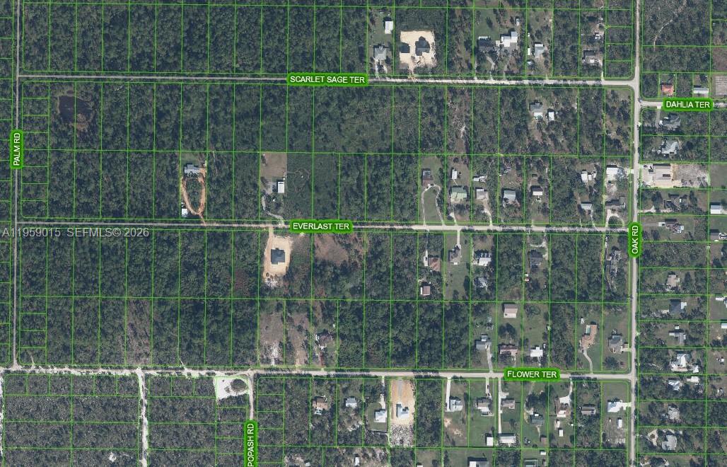 ORANGE BLOSSOM EST - Land