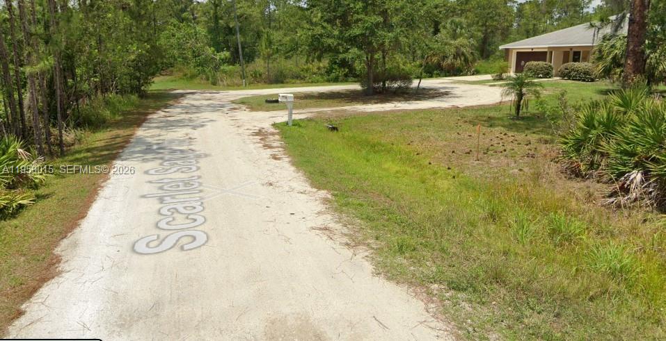 ORANGE BLOSSOM EST - Land