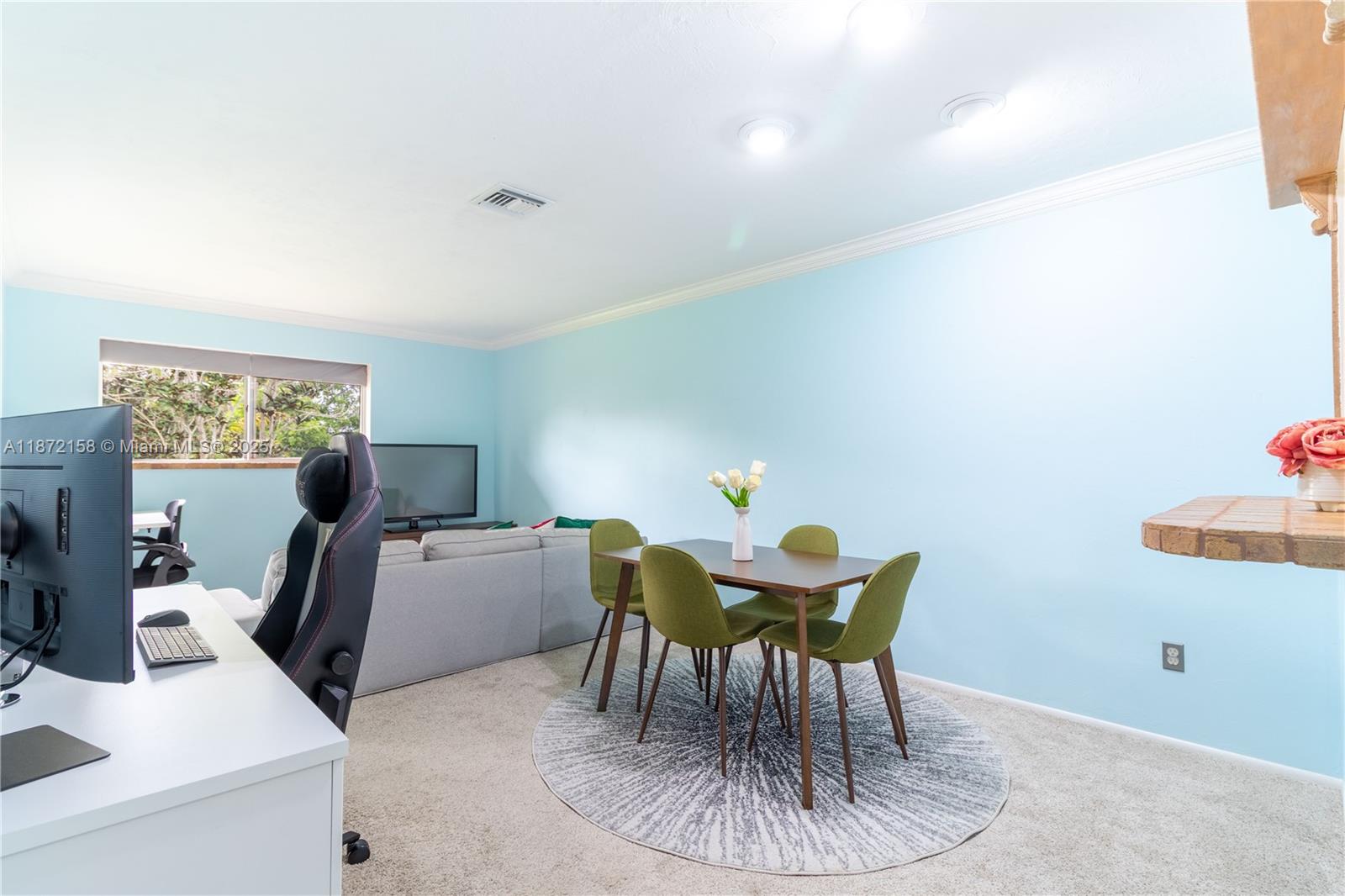 Boca Ciega Village - Residential