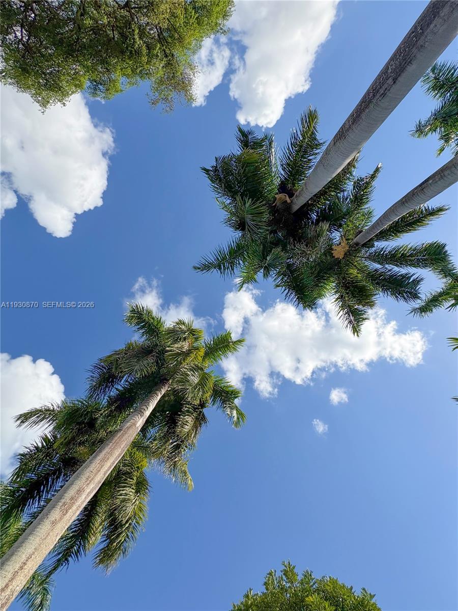 BELLE MEADE OF MIA SEC 1 - Residential