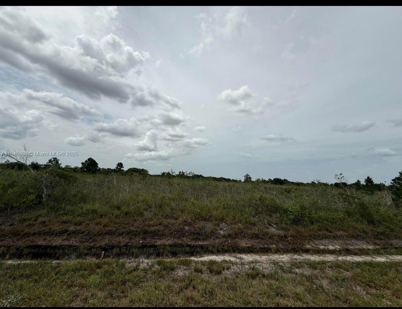 Seize the opportunity to own this High and Dry 1.25-acre vacant parcel and create your dream home amidst nature's beauty. Situated a short drive from the main road, this private location is just a few miles west of Orange Ave, offering easy access to shopping, dining, I-95, and Florida's Turnpike. Perfect for building your dream house, engaging in agricultural activities, or raising cattle, this area is a paradise for outdoor enthusiasts. Explore nearby attractions like the Kissimmee River Preserve State Park and Lake Okeechobee. Whether your interests lie in fishing, hunting, agriculture, or simply enjoying seclusion, Okeechobee County offers the perfect setting for a personalized retreat. Please note that due diligence is the buyer's responsibility, and all property is sold as-is.