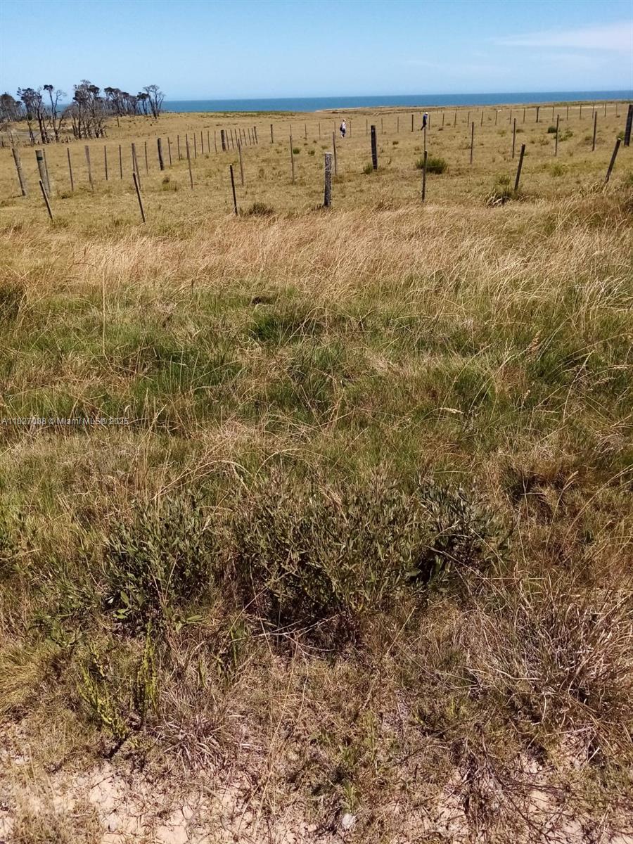 Port Malabar Unit 49 - Land