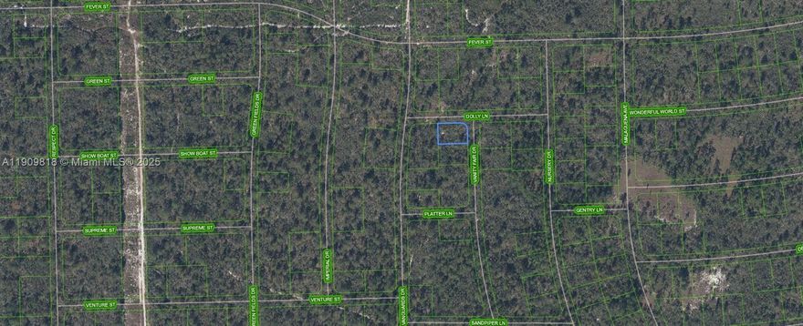 OWNER WILL FINANCE!!! $500 DOWN $197.61 PER MONTH FOR 36 MONTHS AT 7% INTEREST. Huge 80 X 125 lot located in the Sun N Lakes community, Located in Sun n Lakes Subdivision this lot is high and dry. Sun 'N Lakes is located approximately 85 miles from either coast and about 100 miles south of Orlando. There is a beautiful park with a white sandy beach and two docks on Lake Grassy. OWNER WILL FINANCE!!!