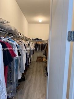 MAPLE RIDGE AT AVE MARIA - Residential