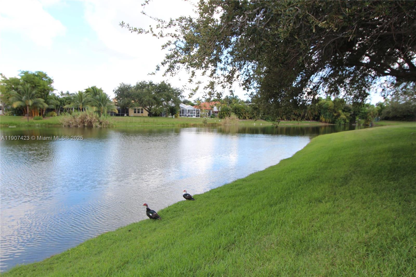 SAILBOAT POINTE CONDO - Residential Lease