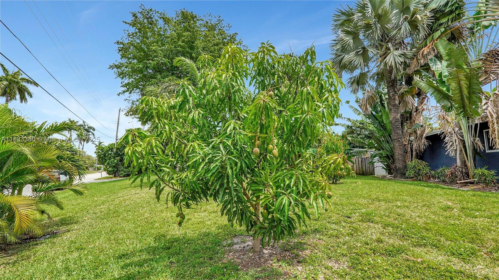 NEW RIVER GROVES 2ND ADD - Residential Lease