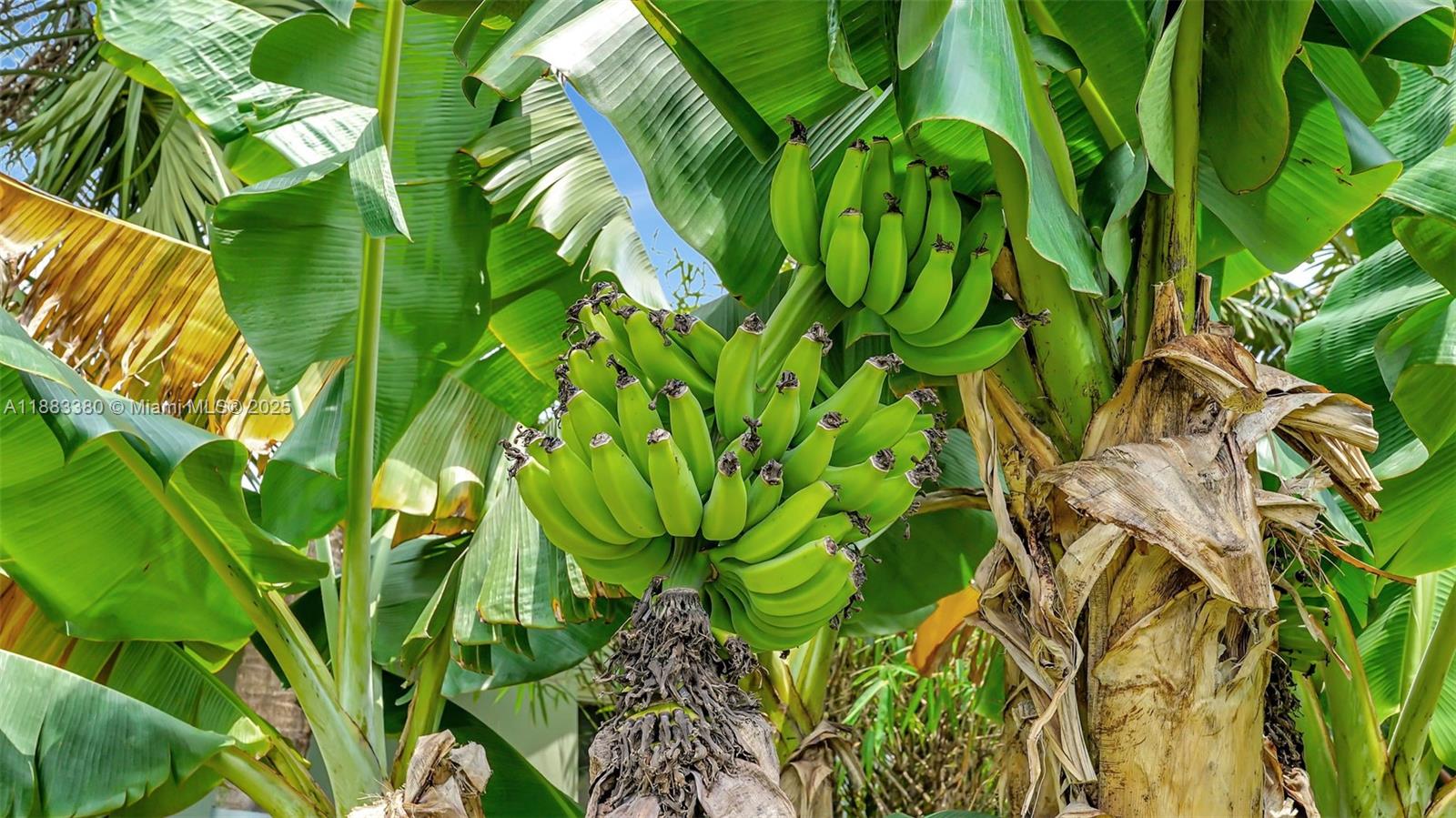 NEW RIVER GROVES 2ND ADD - Residential Lease