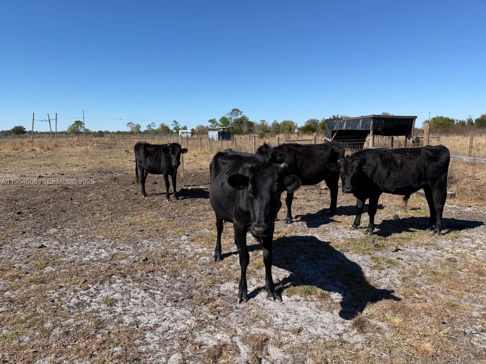 W 612.33 FT OF N 355.75 FT - Land