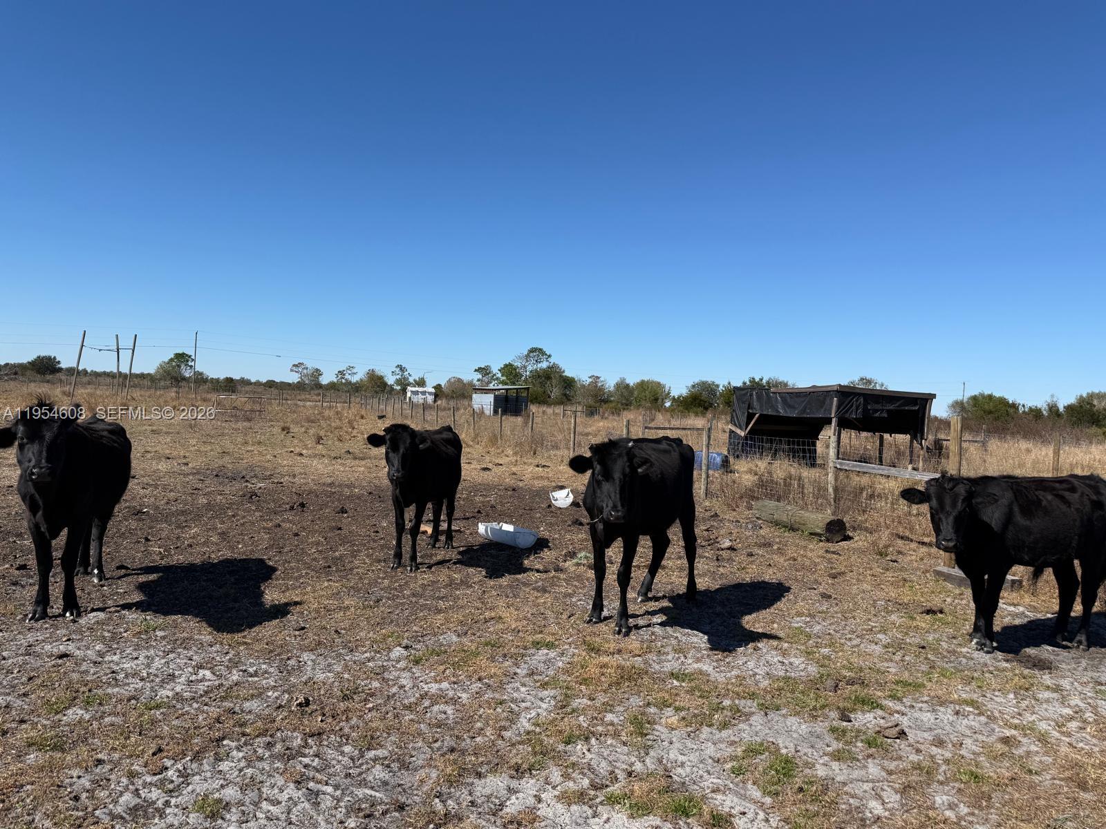 W 612.33 FT OF N 355.75 FT - Land