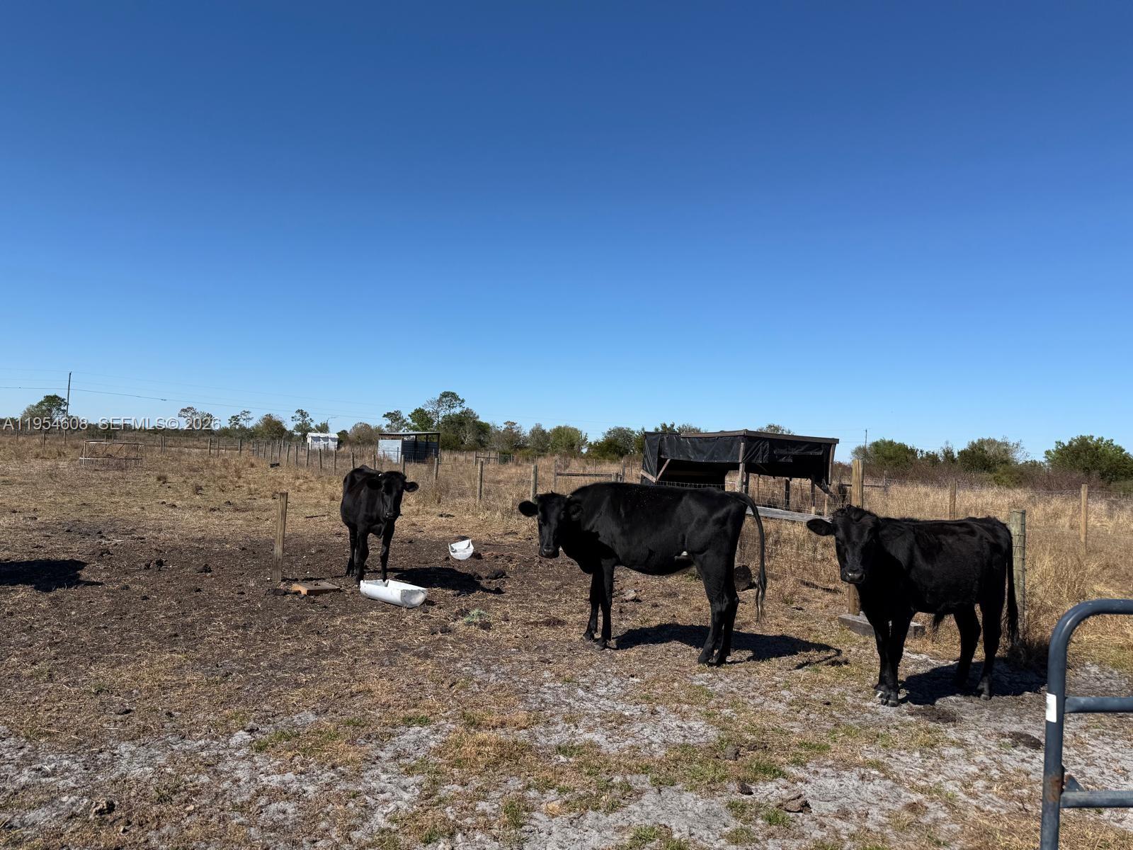 W 612.33 FT OF N 355.75 FT - Land