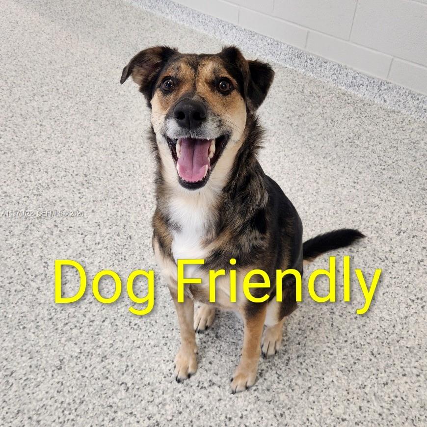 DIXIE GROVE RESIDENCES CO - Residential