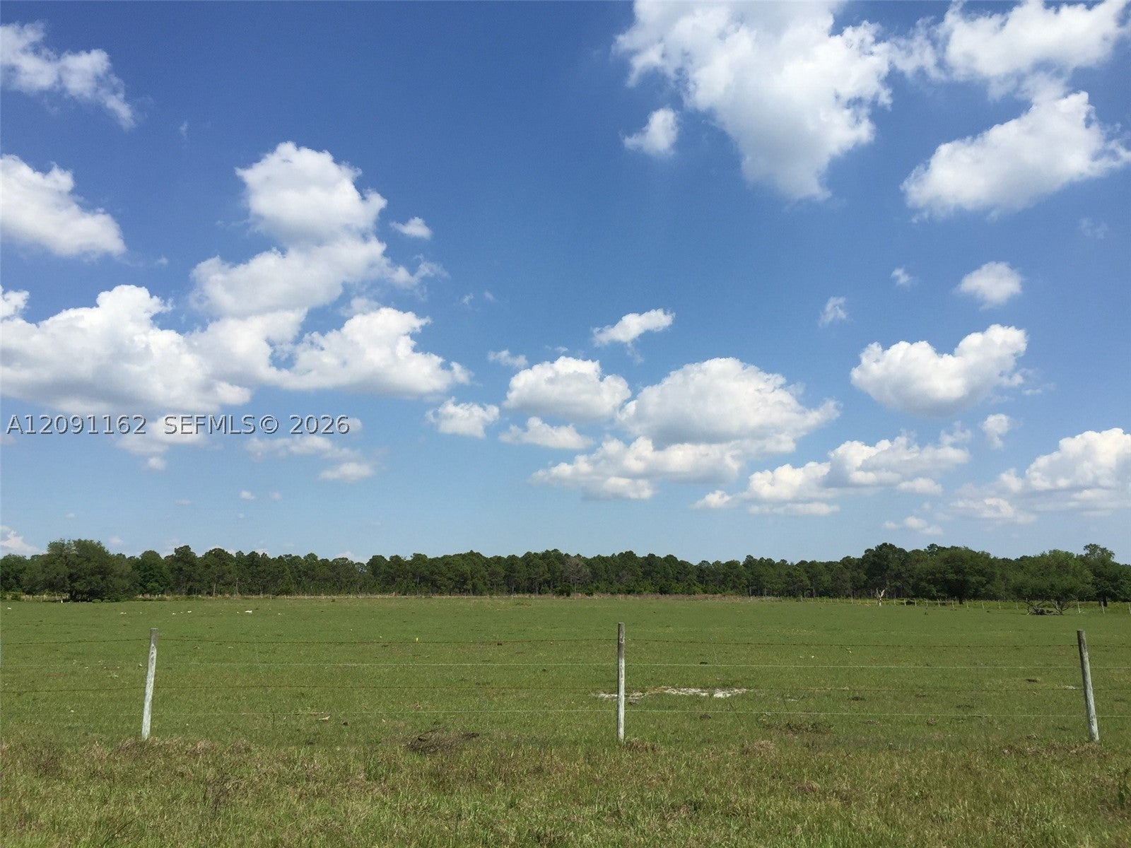 315 DETJENS DAIRY RD