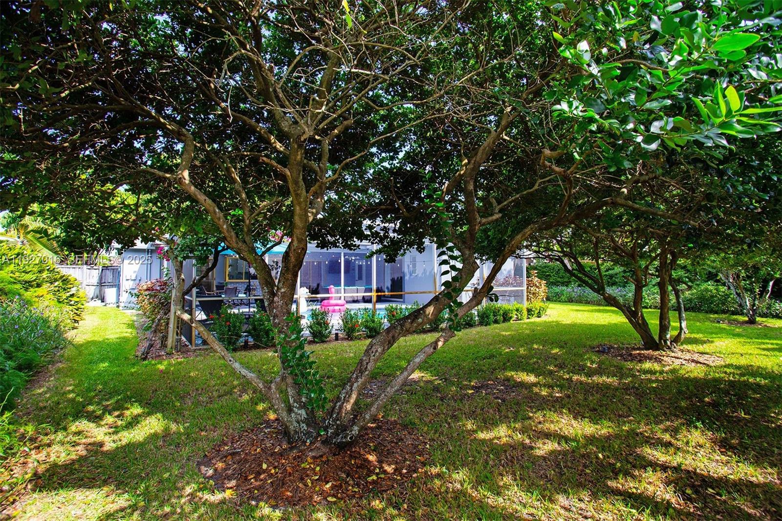 HOLLYWOOD HILLS - Residential